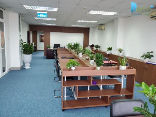 Thiết kế văn phòng tràn ngập sắc màu