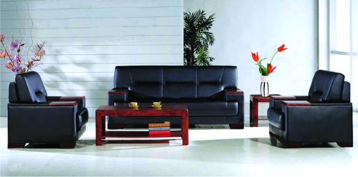 Bộ sofa bọc da SF12